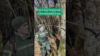 La forêt, c'est aussi ça...