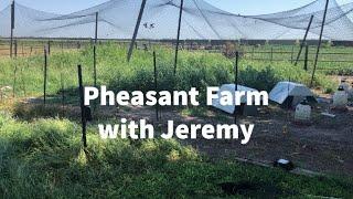 Pheasant Farm with Jeremy