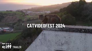 SIFF Cinema Trailer: CatVideoFest 2024