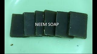 Make Your Own Neem Soap For Clear & Healthy Skin (DIY)