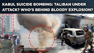 Kabul Suicide Bombing: Taliban Forces Hit In Bank Explosion, Watch| Who Is Bleeding Afghanistan?