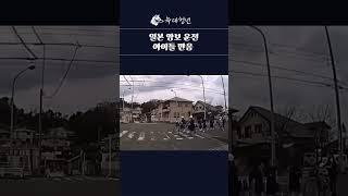 양보 운전 아이들 반응
