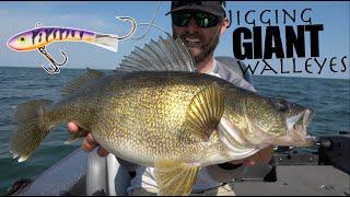 Jigging CRAZY Schools of GIANT Walleyes!