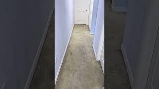 Carpet Cleaning in Brooksville & Spring Hill FL