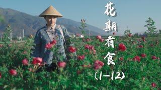 花期有食 完整版 | 当绚丽多彩的鲜花被端上人们的餐桌  【滇西小哥】