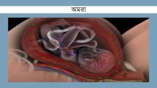 bio unit 11 less 07  bruner bikash