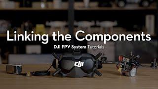 DJI FPV System | How to Link the Components
