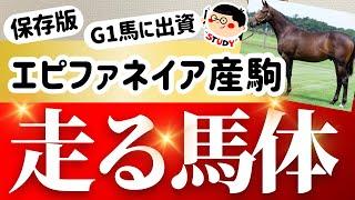 【競馬】【一口馬主】G1馬の馬体表！エピファネイア産駒の特徴！中長距離路線の理想的な馬体とは？