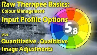 Raw Therapee Basics: Colour Management Input Profiles