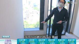 元朗瑧頤貨尾單位驗收 新界農地補地價難達標準地價 -TVB News -TVB日日有樓睇 -香港新聞