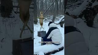 ИИ реклама на морозе