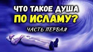 Есть ли душа? Какая она? | Душа согласно Исламу | Время покаяния