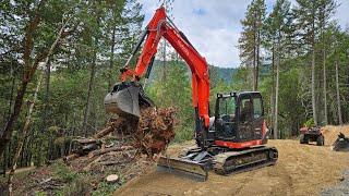 Kubota KX 080 4 vs trees and digging a bank