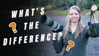 How Does a Photo Safari Differ From a Regular Safari?