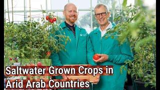 Saltwater Grown Crops in Arab Countries/Growing Crop in Desert with Seawater/Red Sea Farm/AgroStar