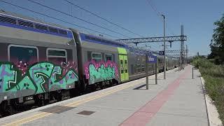 2023 - IT - Arrival of Trenitalia 464 loco with a regional train, in Follonica