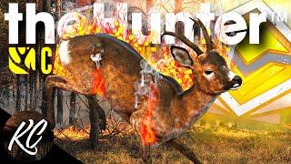 We FINALLY FOUND HIM! HUGE Diamond Roe Deer in MULTIPLAYER! | Call of the Wild