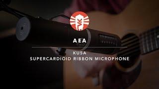 AEA KU5A | Supercardioid Ribbon Microphone | Vintage King