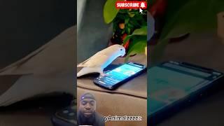 Brainy birds, funny furballs! Best parrot & dog moments. #funny #talkingparot #funnymoment