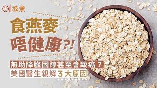 燕麥迷思｜燕麥95%含致癌物！降血糖膽固醇成效存疑醫生親解3原因｜教煮｜早餐｜健康飲食