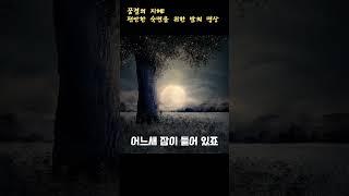깊은 수면을 위한 명상  | ep1. 달빛아래내려놓기
