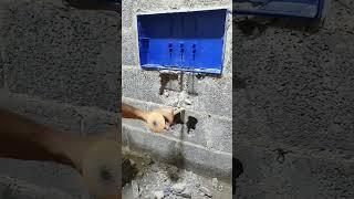 Establishment of a home water distribution network