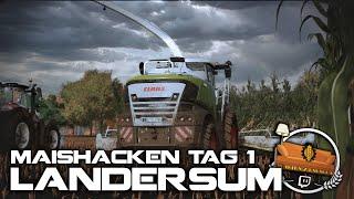 LANDERSUM | #37 | MAISHACKEN - TAG 1 - Häckseln auf dem CLAAS JAGUAR 980 | LU Wohnzimmer