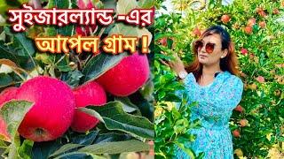 সুইজারল্যান্ডের আপেল গ্রাম দেখতে কেমন ?!