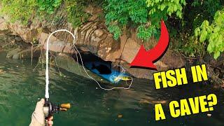 I Hooked A MONSTER In A Cave!!! Fall Bass Fishing On The Holston River...