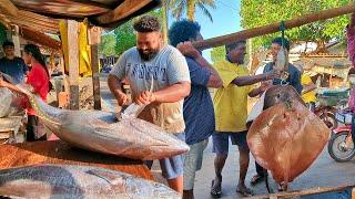 "Exploring Sri Lanka's Bustling Fish Market Fresh Seafood