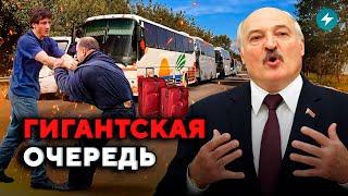 Автобусы стоят / Украина даст гражданство / Освобождение узников // Новости Беларуси