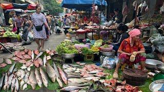 Cambodian Orussey Street Market Tours - Plenty Fresh Seafood, Vegetable, River Fish & More In Market