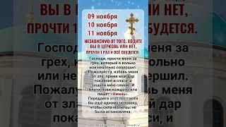 я буду молиться за здоровье вашей семьи, вашего дома и за чудо, которого вы так долго ждали.