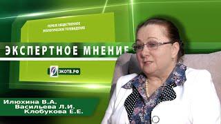 Программа "Экспертное мнение" с Илюхиной В.А.