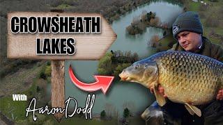 CARP FISHING - Crowsheath Lakes | Essex with Aaron Dodd