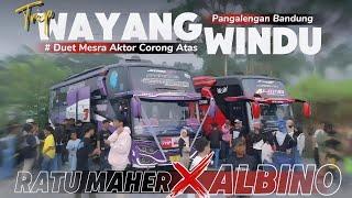 TRIP WAYANG WINDU || WITH SANJAYA TRANS ALBINO x SJM TRANS RATU MAHER‼️