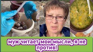 Сварила для мужа старинный русский суп с огурцами, добралась до свёклы, муж читает мои мысли!