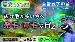 【発毛・育毛・抜け毛・頭皮改善に効く】治癒音と癒しのグリーンノイズ┃超回復のα波・θ波・デルタ波┃15分