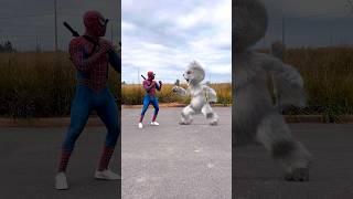 Homem-Aranha luta contra Gato malvado #shorts