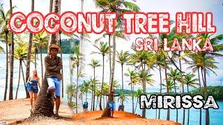 Coconut Trees Hill │ Mirissa │Sri Lanka