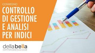 Controllo di gestione e analisi per indici