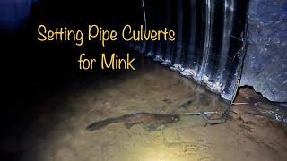 C-Clamps in Pipe Culverts for Top Edge Mink