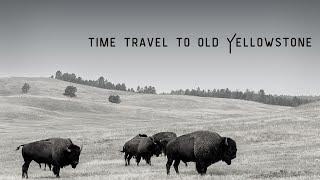 Vintage Travel To Yellowstone National Park