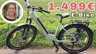 Der SUV unter den E-Bikes  Erfahrungsbericht zum Quartz SUV E-Bike von Deruiz