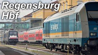 Züge in Regensburg Hbf | Herbst 2024 | agilis Mireo, alex, Br. 218 und mehr