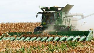 CORN HARVEST 2024 - JOHN DEERE S780 & 16 ROW CORN HEADS