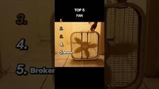 Top 5 Fan