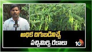 అధిక దిగుబడినిచ్చే పచ్చిమిర్చి రకాలు | Earn High Profits in Mirchi Cultivation | Matti Manishi |10TV