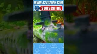 Biofilm Control: Aquaponic Ozone Generator Application #ozonegenerator #ozone #a2zozone #a2z