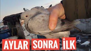 AYLAR SONRA İLK KAÇAK